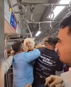 Camera on , ticket less Traveller Attack Examiners in Mumbai Locals Train